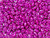 Matubo SuperDuo 2 x 5mm Metalust Hot Pink 2-Hole Seed Bead 2.5-Inch Tube Matubo SuperDuo 2 x 5mm Metalust Hot Pink 2-Hole Seed Bead 2.5-Inch Tube
