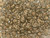 Matubo SuperDuo 2 x 5mm Linen Halo 2-Hole Seed Bead 2.5-Inch Tube Matubo SuperDuo 2 x 5mm Linen Halo 2-Hole Seed Bead 2.5-Inch Tube