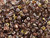 Matubo SuperDuo 2 x 5mm Apollo Rosaline 2-Hole Seed Bead 2.5-Inch Tube Matubo SuperDuo 2 x 5mm Apollo Rosaline 2-Hole Seed Bead 2.5-Inch Tube