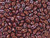 Matubo SuperDuo 2 x 5mm Opaque Red Nebula 2-Hole Seed Bead 2.5-Inch Tube Matubo SuperDuo 2 x 5mm Opaque Red Nebula 2-Hole Seed Bead 2.5-Inch Tube