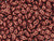 Matubo SuperDuo 2 x 5mm ColorTrends Saturated Metallic Valiant Poppy 2-Hole Seed Bead 2.5-Inch Tube