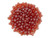 Fire-Polish 2mm : Flash Pearl - Siam Ruby (50pcs) Fire-Polish 2mm : Flash Pearl - Siam Ruby (50pcs)
