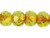 Gem-Cut Fire-Polish Rondelle 6 x 4mm : Jonquil - Picasso (25pcs) Gem-Cut Fire-Polish Rondelle 6 x 4mm : Jonquil - Picasso (25pcs)