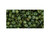 TOHO Glass Seed Bead, Size 6, HYBRID Transparent Peridot - Picasso (Tube) TOHO Glass Seed Bead, Size 6, HYBRID Transparent Peridot - Picasso (Tube)
