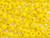 TOHO Glass Seed Bead, Size 3, Opaque Sunshine (Tube) TOHO Glass Seed Bead, Size 3, Opaque Sunshine (Tube)