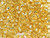 TOHO Glass Seed Bead, Size 3, Silver-Lined Lt Topaz (Tube) TOHO Glass Seed Bead, Size 3, Silver-Lined Lt Topaz (Tube)
