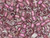 TOHO Glass Seed Bead, Size 3, Inside-Color Crystal/Rose Gold-Lined (Tube) TOHO Glass Seed Bead, Size 3, Inside-Color Crystal/Rose Gold-Lined (Tube)