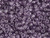 TOHO Glass Seed Bead, Size 6, Transparent Sugar Plum (Tube) TOHO Glass Seed Bead, Size 6, Transparent Sugar Plum (Tube)