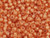 TOHO Glass Seed Bead, Size 6, Silver-Lined Milky Grapefruit (Tube) TOHO Glass Seed Bead, Size 6, Silver-Lined Milky Grapefruit (Tube)