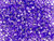 TOHO Glass Seed Bead, Size 6, Silver-Lined Purple (Tube) TOHO Glass Seed Bead, Size 6, Silver-Lined Purple (Tube)