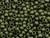 TOHO Glass Seed Bead, Size 6, Matte-Color Dk Olive (Tube) TOHO Glass Seed Bead, Size 6, Matte-Color Dk Olive (Tube)