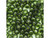 TOHO Glass Seed Bead, Size 6, Transparent Olivine (Tube) TOHO Glass Seed Bead, Size 6, Transparent Olivine (Tube)