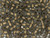 TOHO Glass Seed Bead, Size 6, Gold-Lined Frosted Black Diamond (Tube) TOHO Glass Seed Bead, Size 6, Gold-Lined Frosted Black Diamond (Tube)