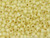 TOHO Glass Seed Bead, Size 6, PermaFinish - Translucent Silver-Lined Jonquil (Tube) TOHO Glass Seed Bead, Size 6, PermaFinish - Translucent Silver-Lined Jonquil (Tube)
