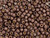 TOHO Glass Seed Bead, Size 6, PermaFinish - Galvanized Matte Mocha Frost (Tube) TOHO Glass Seed Bead, Size 6, PermaFinish - Galvanized Matte Mocha Frost (Tube)