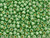 TOHO Glass Seed Bead, Size 6, PermaFinish - Galvanized Sea Foam (Tube) TOHO Glass Seed Bead, Size 6, PermaFinish - Galvanized Sea Foam (Tube)