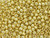 TOHO Glass Seed Bead, Size 6, PermaFinish - Galvanized Yellow Gold (Tube) TOHO Glass Seed Bead, Size 6, PermaFinish - Galvanized Yellow Gold (Tube)