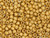 TOHO Glass Seed Bead, Size 6, PermaFinish - Matte Galvanized Starlight (Tube) TOHO Glass Seed Bead, Size 6, PermaFinish - Matte Galvanized Starlight (Tube)