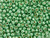 TOHO Glass Seed Bead, Size 6, PermaFinish - Galvanized Mint Green (Tube) TOHO Glass Seed Bead, Size 6, PermaFinish - Galvanized Mint Green (Tube)