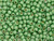 TOHO Glass Seed Bead, Size 6, PermaFinish - Galvanized Matte Seafoam (Tube) TOHO Glass Seed Bead, Size 6, PermaFinish - Galvanized Matte Seafoam (Tube)