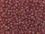TOHO Glass Seed Bead, Size 8, 3mm, Transparent-Rainbow Frosted Ruby (Tube) TOHO Glass Seed Bead, Size 8, 3mm, Transparent-Rainbow Frosted Ruby (Tube)