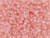 TOHO Glass Seed Bead, Size 8, 3mm, Transparent-Rainbow Frosted Rosaline (Tube) TOHO Glass Seed Bead, Size 8, 3mm, Transparent-Rainbow Frosted Rosaline (Tube)