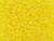 TOHO Glass Seed Bead, Size 8, 3mm, Transparent-Rainbow Lemon (Tube) TOHO Glass Seed Bead, Size 8, 3mm, Transparent-Rainbow Lemon (Tube)