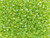 TOHO Glass Seed Bead, Size 8, 3mm, Transparent-Rainbow Lime Green (Tube) TOHO Glass Seed Bead, Size 8, 3mm, Transparent-Rainbow Lime Green (Tube)