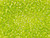 TOHO Glass Seed Bead, Size 8, 3mm, Silver-Lined Lime Green (Tube) TOHO Glass Seed Bead, Size 8, 3mm, Silver-Lined Lime Green (Tube)