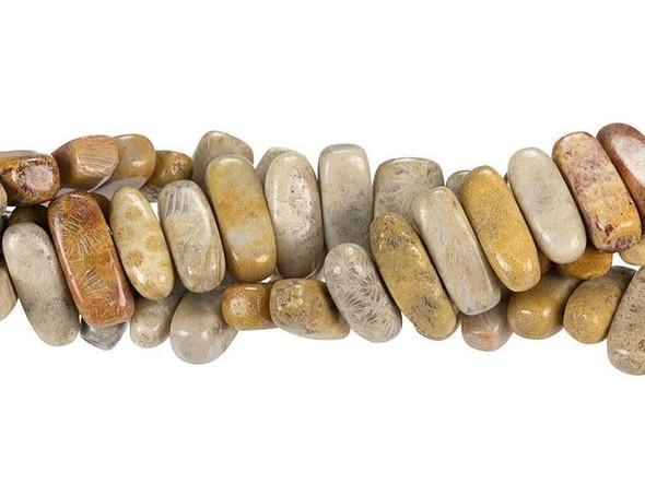 Dakota Stones Fossil Coral 5 x 15mm Center Drill Flat Chip Bead Strand