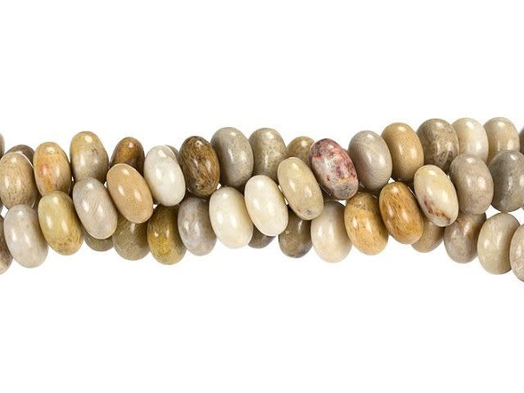 Give your designs organic style with these Dakota Stones beads. These gemstone beads feature a classic rondelle shape. Use them as spacers or layer them together in designs. The 8mm size is perfect for bracelets and necklaces. Use them in matching jewelry sets. Fossil coral is a natural gemstone formed by ancient corals that have fossilized, leaving flower-like patterns in the stone. It is considered to be a type of agate. These beads display neutral beige, sand, mustard, and clay colors. Because gemstones are natural materials, appearances may vary from piece to piece. Each strand includes approximately 24 beads.
