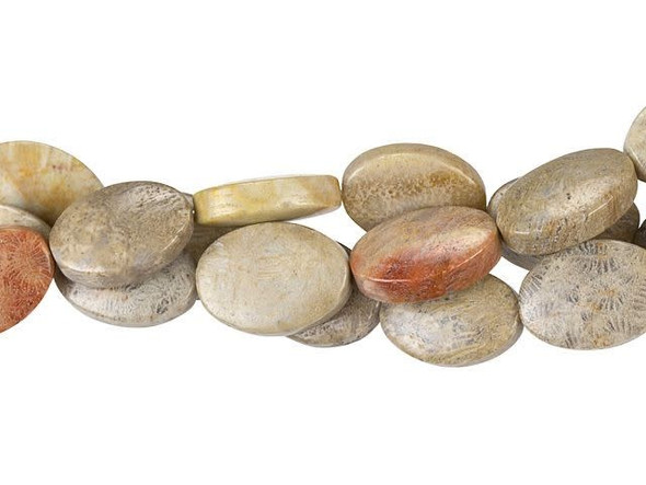 Dakota Stones Fossil Coral 10 x 14mm Oval Bead Strand