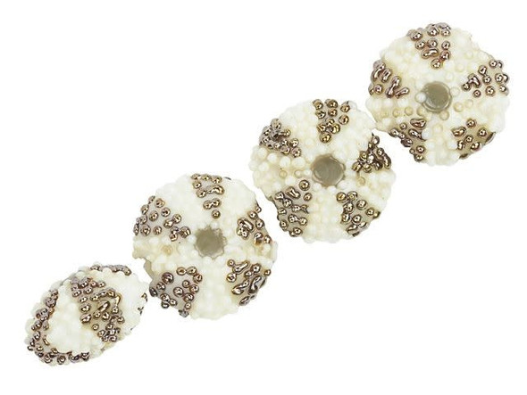 Ivory Sea Urchin Lentil Bead Strand (4 pcs)