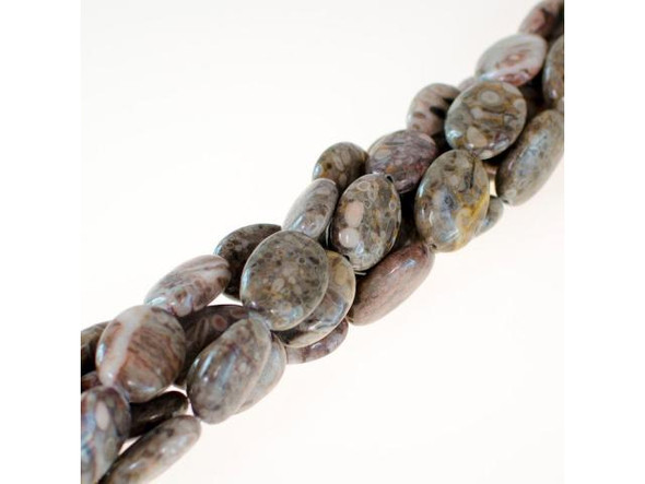 Agatized Fossil Shell Gemstone Beads, 13x18mm Puffed Ovals (strand)