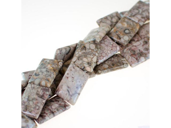 Agatized Fossil Shell Gemstone Beads, Puff Rectangle, Approx. 20x30mm (strand)