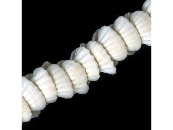 Trade Beads, African Shell, 6-16mm (strand)