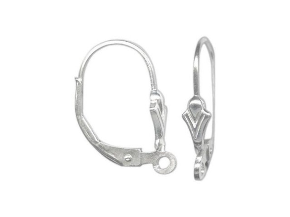 Stainless steel 316L leverback earring hooks 18x9mm