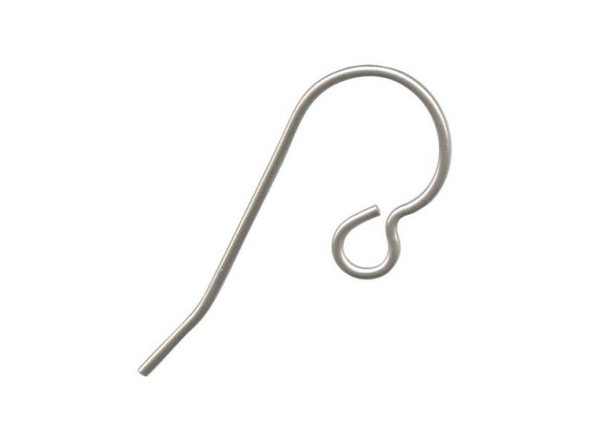 Stainless Steel French Hook Earring Wires, Plain (gross)