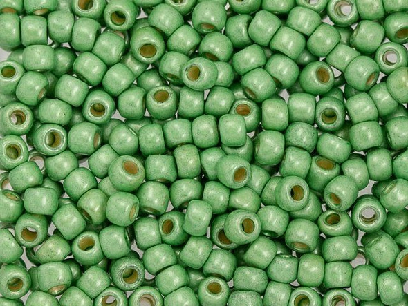 TOHO Glass Seed Bead, Size 6, PermaFinish - Galvanized Matte Seafoam (Tube)