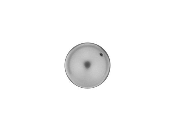 Try this 8mm PRESTIGE Crystal Components pearl in Grey to give your next jewelry design added elegance. This lovely pearl is made from Austrian crystal, adding to its sophisticated appeal. With a smooth round shape it can easily fit into a classic or contemporary look, and this neutral Grey shade will help create the feel you're looking to capture. Mix and match it with bright colors or other soft shades for different types of designs.Sold in increments of 50