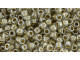 TOHO Glass Seed Bead, Size 8, 3mm, Gold-Lined Crystal (Tube)