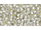 TOHO Glass Seed Bead, Size 8, 3mm, PermaFinish - Silver-Lined Crystal (Tube)