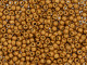 TOHO Glass Seed Bead, Size 8, 3mm, Permafinish - Matte Galvanized Old Gold (Tube)