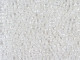 TOHO Glass Seed Bead, Size 11, 2.1mm, Transparent-Lustered Crystal (Tube)