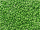 TOHO Glass Seed Bead, Size 8, 3mm, HYBRID Sueded Gold Opaque Mint Green (Tube)