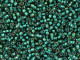 TOHO Glass Seed Bead, Size 11, 2.1mm, Inside-Color Crystal/Prairie Green-Lined (Tube)
