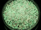 TOHO Glass Seed Bead, Size 11, 2.1mm, Glow In The Dark - Dark Pink/Green Pink (Tube)