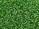 TOHO Glass Seed Bead, Size 11, 2.1mm, Silver-Lined Frosted Peridot (Tube)