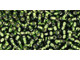 TOHO Glass Seed Bead, Size 11, 2.1mm, Silver-Lined Olivine (Tube)