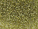 TOHO Glass Seed Bead, Size 11, 2.1mm, Gold-Lined Peridot (Tube)